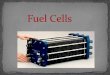 Fuel cell seminar