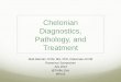 Chelonian diagnostics, pathology and treatment