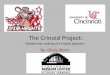 The Crinoid Project
