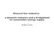 Natural Gas Industry: a dynamic industry and a bridgehead to 