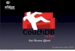 Meet Couch DB