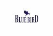 Blue bird presentation