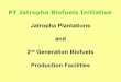 Pt jatropha biofuels initiative   dec  2012