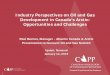Industry Perspectives on Oil and Gas Development in Canada’s Arctic: Opportunities and Challenges