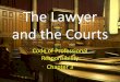 Chapter 4 the lawyer and the courts