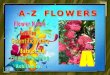 FLOWERS  A-Z       03    ACHILLEA