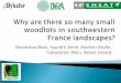 Why are there so many small woodlots in southwestern France landscapes