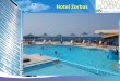 Hotels in Chania Crete  - Hotel Zorbas Beach Village