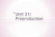Unit 21: Pre Production