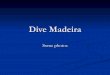 Dive Madeira
