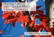 “Hashtag Fail”: Social Media in the 2011 Canadian Election