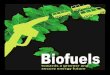 Pre biodiesel