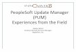 PUM (PeopleSoft Update Manager) - Experiences from the Field