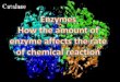 Enzyme Powerpoint
