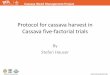 Protocol for correct cassava harvest in Cassava five-factorial trials by Dr Hauser