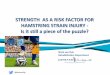 Isokinetic conference 2015 London strength as a risk factor for hamstring injury