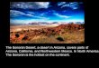 Emile Harmon: Sonoran Desert