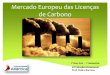 Mercado Europeu das licenças de carbono