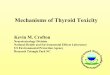 Mechanisms of Thyroid Toxicity