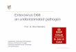 Enterovirus D68: an underestimated pathogen - Prof. Niesters