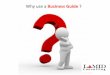 Benefits of lamid business guides