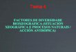 Tema 4: FACTORES DE DIVERSIDADE BIOXEOGRÁFICA (SITUACIÓN XEOGRÁFICA E PROCESOS NATURAIS / ACCIÓN ANTRÓPICA)