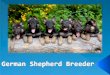 Best German Shepherd Breeders