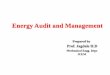 Energy Audit and Mgt UNIT 4
