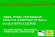 Public private partnerships from the perspective of small-scale livestock keepers