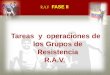 Tareas y Operaciones de los Grupos de Resistencia RAV FASE II