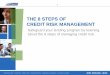 The 8 Steps of Credit Risk Management