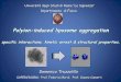 Polyion-induced liposome aggregation: specific interactions, kinetic arrest and structural properties