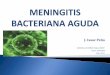 Meningitis bacteriana presentacion 23  slides
