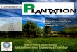 Plantation  (RUET URP-12)