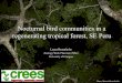 Nocturnal bird communities in a regenerating tropical forest in SE Peru