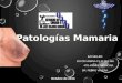 Patologia mamaria 2014  CIRUGIA