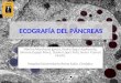 1 us pancreas power point ecografa_del_pncreas_sevilla_2008_copy1 - copia - copia