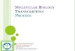 Molecular biology transcription mb 08