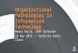 Organizational Pathologies in Information Technology