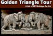 Golden triangle india