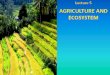 Agriculture and Ecosystem