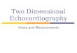 Two dimensional echocardiography