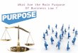 What are the main purpose of business law ?