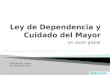 Ley de Dependencia y Cuidadores. De Mayor. Santiago del Campo