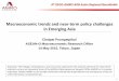 Macroeconomic trends and near-term policy challenges in Emerging Asia