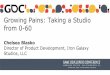 [GDC2015] Growing pains - Taking a studio from 0-60