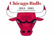 Chicago Bulls Mid-Season Report