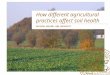 How different agricultural practices affect soil health - Katarina Hedlund