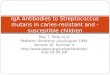 IgA Antibodies to Streptococcus mutans in caries-resistant and 