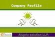 Company profile(APS SOLAR)